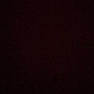 Meet your Posher, Dillon